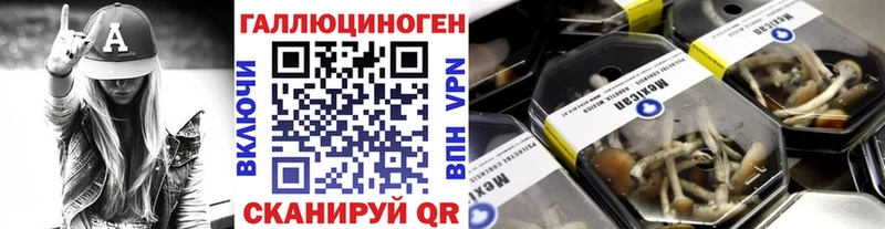 Купить где  Катав-Ивановск  Псилоцибиновые грибы прущие грибы 
